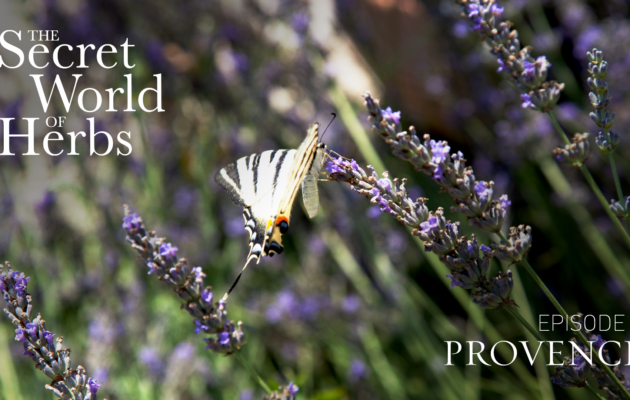 The Secret World of Herbs: In Provence (Episode 5)