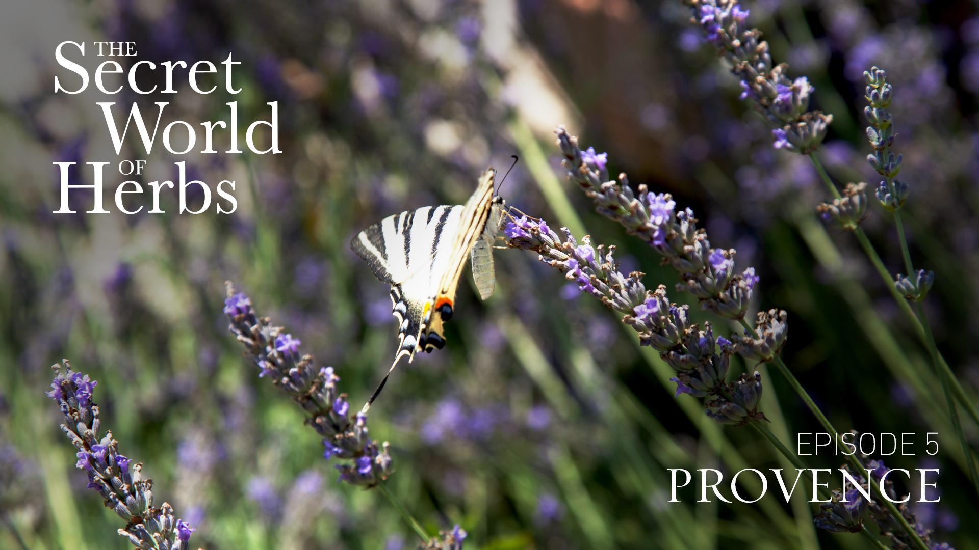 The Secret World of Herbs: In Provence (Episode 5)