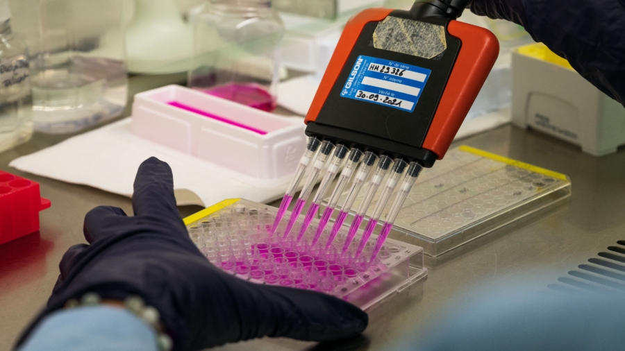 US vs. China: Biotech Battle