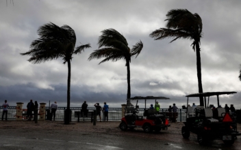 US Airlines Cancel 1,220 Flights as Tropical Storm Nicole Makes Landfall in Florida