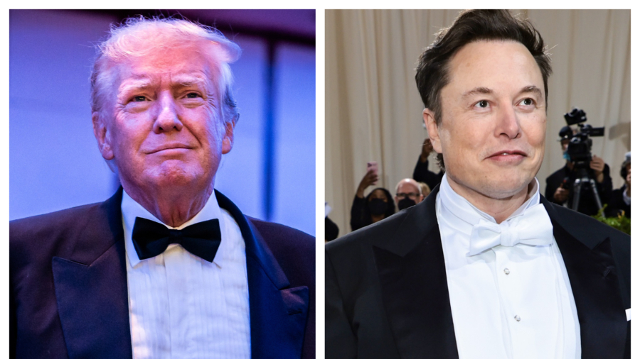 Elon Musk Runs Poll Asking Whether Trump Should Be Reinstated