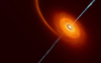 Distant Black Hole Is Caught in the Act of Annihilating a Star