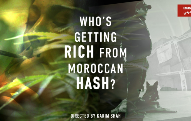 Who’s Getting Rich From Moroccan Hash?