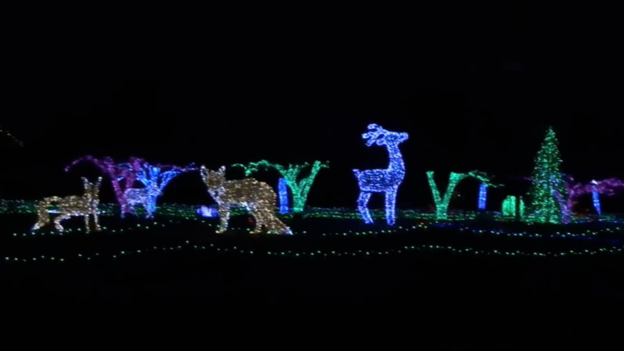 Holiday Light Show at Detroit Zoo