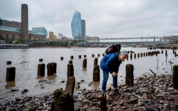 Mudlarks Scour the River Thames for Artifacts