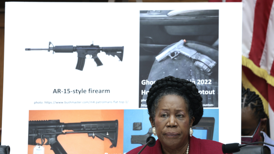 Rep. Lee Holds Press Conference After Judiciary Subcommittee Hearing on Gun Control