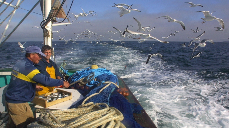 U.S. Fishing Regulations Ignite Controversy