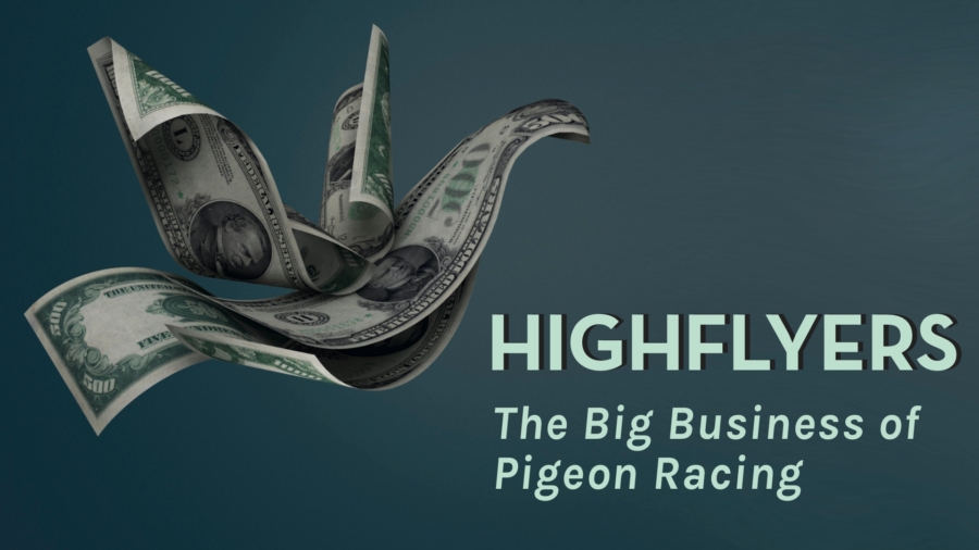 Highflyers | Documentary