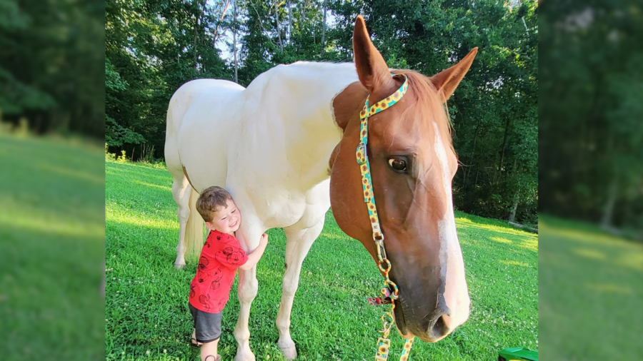 Special Bond Between Boy and Horse: A Life Change Brings Magic