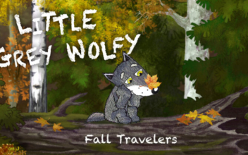 Little Grey Wolfy – Fall Travelers