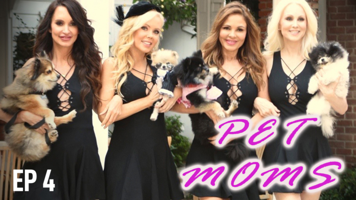 Viva Las Vegas, Doggie Style | Pet Moms Ep4