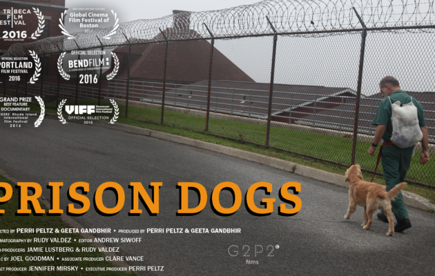 Prison Dogs