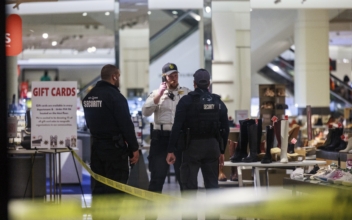 Police in Georgia Arrest Suspect in Mall of America Shooting