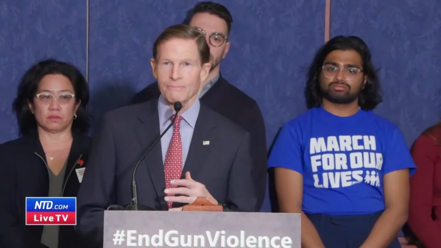 Democrats Speak on Gun Laws Ahead of 10th Anniversary of Sandy Hook