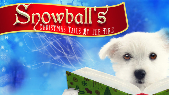 Snowball’s Christmas Tails By The Fire