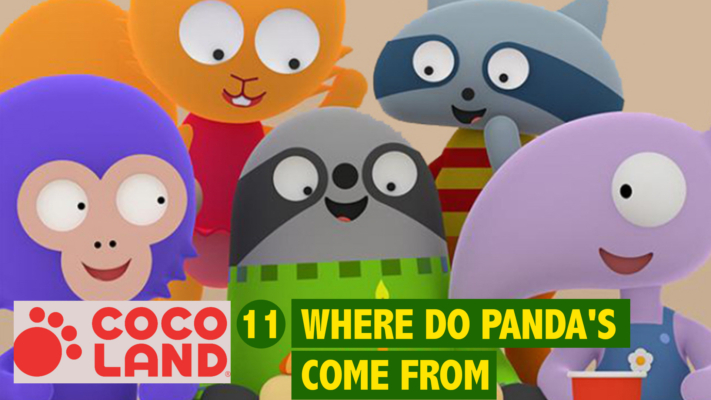 Where Do Pandas Come From? | Cocoland Ep11