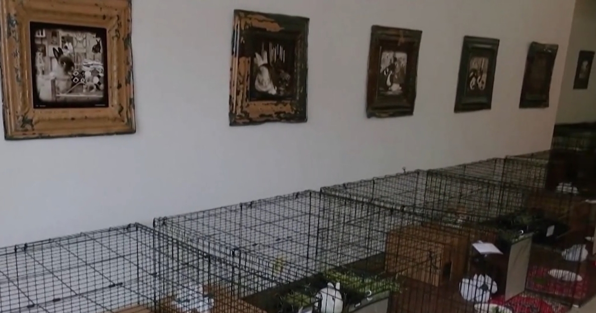 Persian Rugs and Spa Packages: A Glimpse Into the Luxury Hotel for