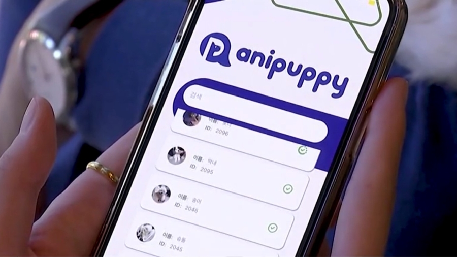 New Technology Identifies Dogs by Nose Print