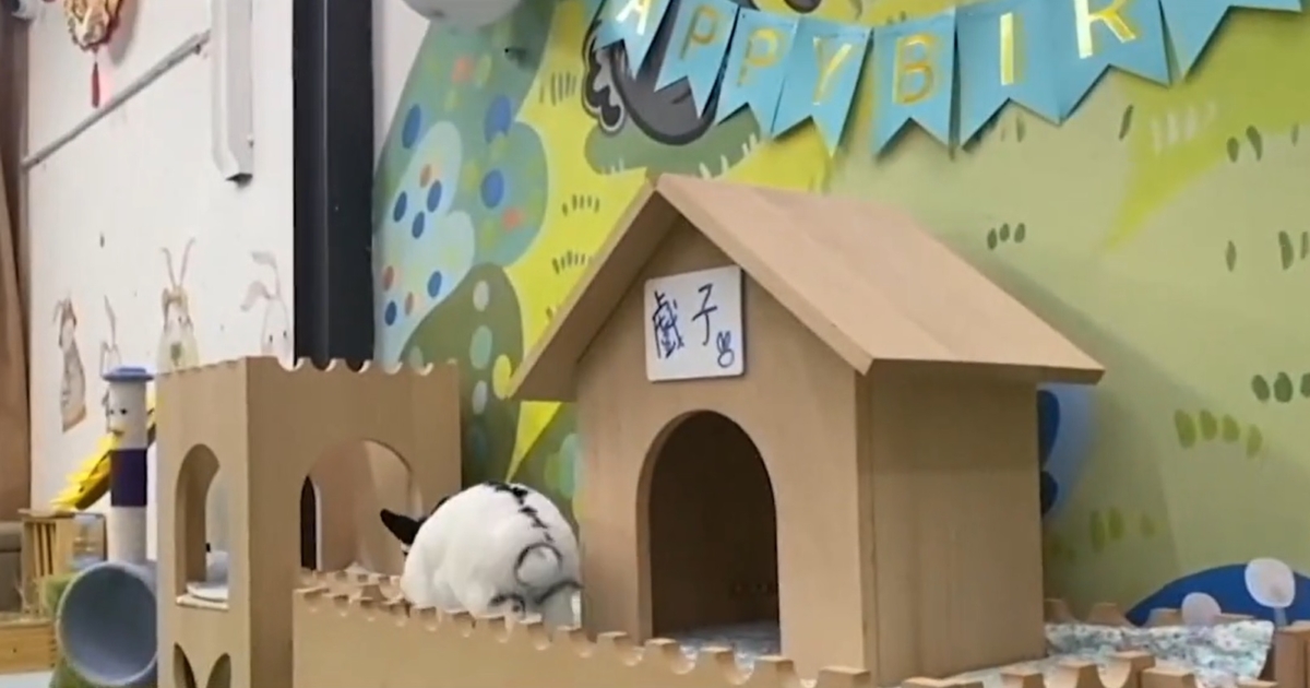 Rabbit Hotel Fully Booked for Lunar New Year NTD