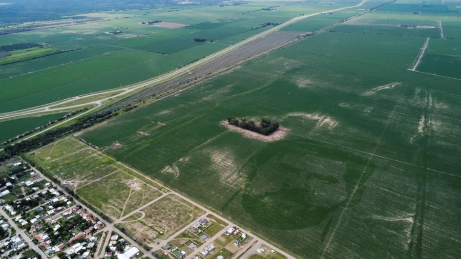 Argentine Corn Field Planted With Face of World Cup Winner Messi
