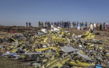 US Board Says Boeing Max Likely Hit a Bird Before 2019 Crash