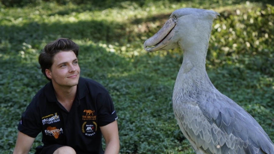 Couple Takes a Leap and Buys Zoo