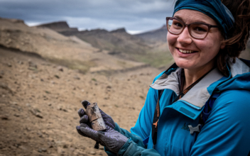 Scientists Unearth Megaraptors, Feathered Dinosaur Fossils in Chile’s Patagonia