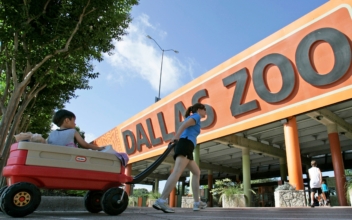 2 Monkeys Taken From Dallas Zoo in Latest Suspicious Event