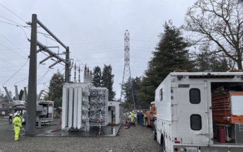 2 Arrested in Power Substation Vandalism in Washington State