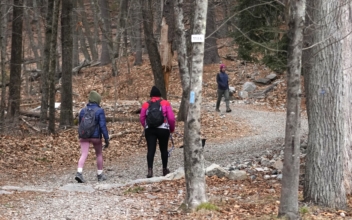 Long Daily Walks Can Increase Life Expectancy Up to 11 Years: Study