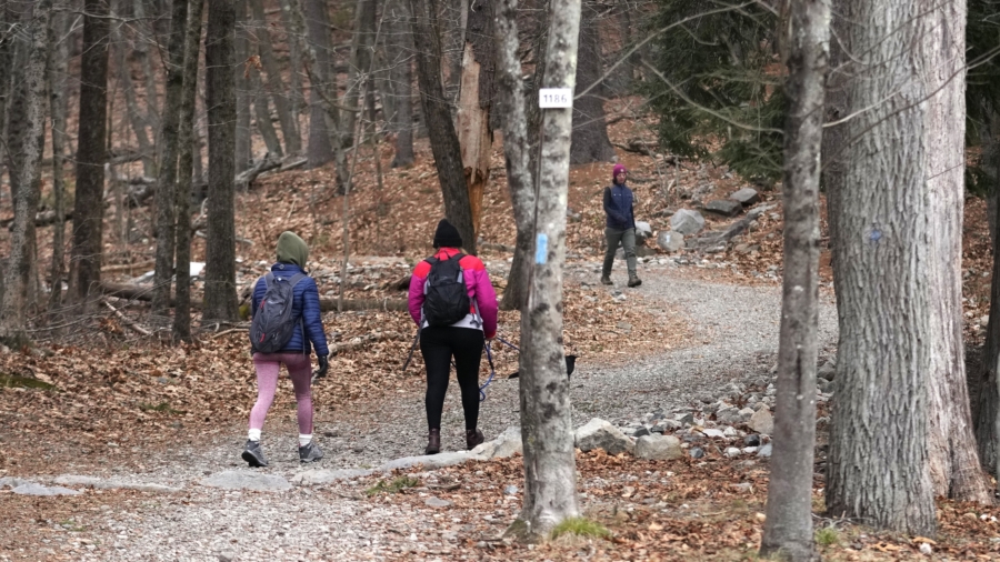 Long Daily Walks Can Increase Life Expectancy Up to 11 Years: Study