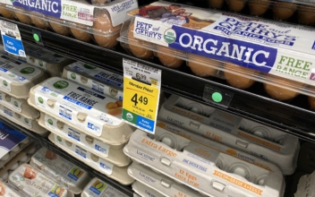 Egg Prices Exploded 60 Percent Higher Last Year. These Food Prices Surged Too