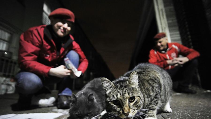 Curtis Sliwa Offers NYC Mayor Eric Adams Feral Cats to Fight Rats