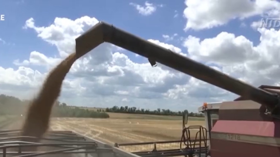 Beijing Promotes Rice Bran as Food Amid Famine Fears