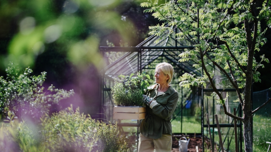 How to Be a 'Super-Ager'