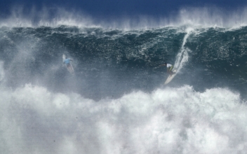 Lifeguard Luke Shepardson Wins Hawaii Surfing ‘Super Bowl’