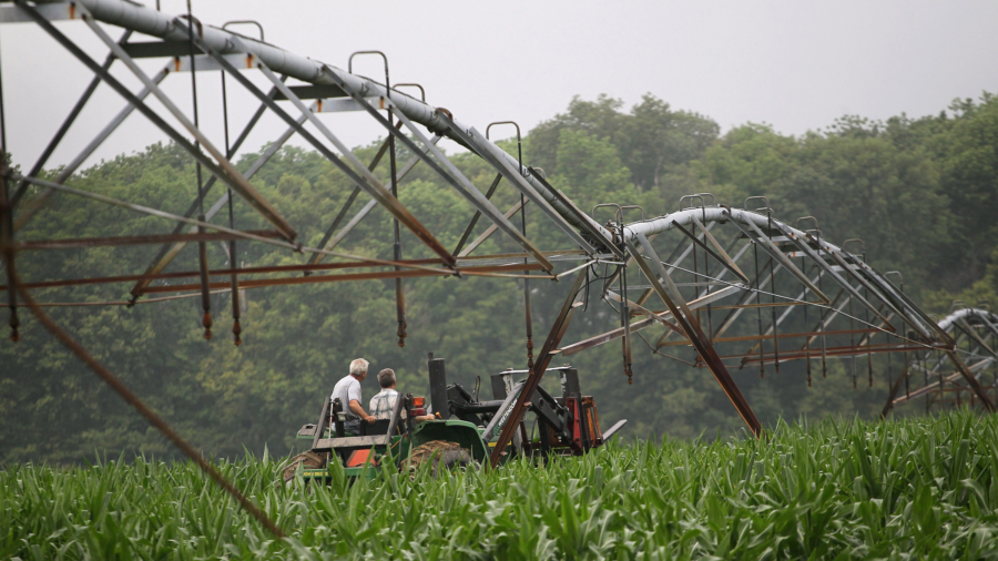 Farmers Hoping Tariffs Bring Fair Trade: Agriculture Expert