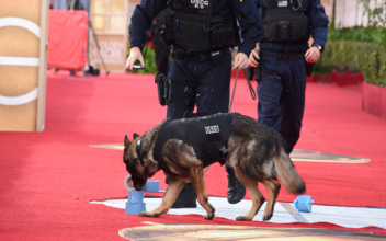 California Bill Seeks to Limit the Use of Police K-9 Units, Citing Racism