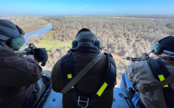 In Texas, Hunters Shoot Feral Pigs From Helicopters