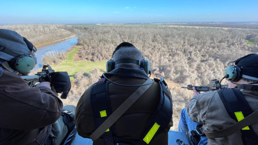 In Texas, Hunters Shoot Feral Pigs From Helicopters