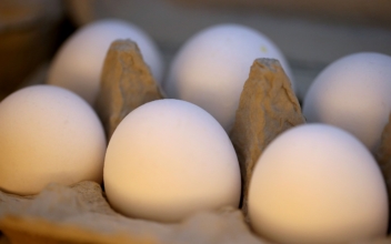 Egg Prices Are on Decline, but at Expense of Farmers