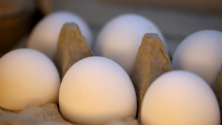 Egg Prices Are on Decline, but at Expense of Farmers