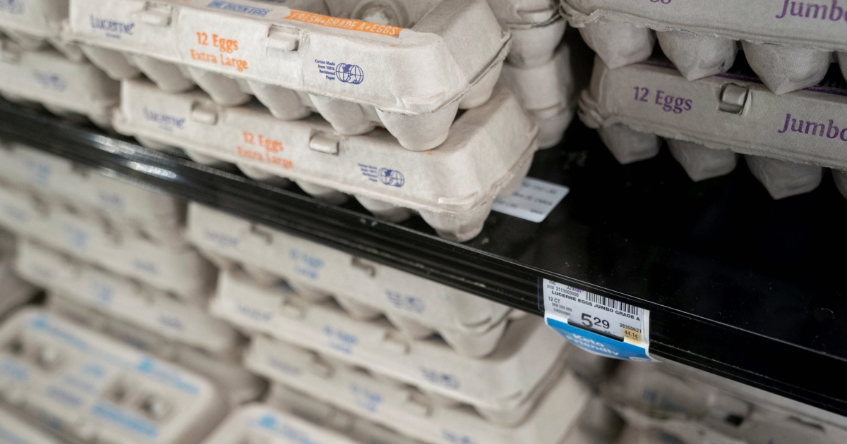 Egg Prices Soar Over 70 Percent as Inflation Report Shocks in Some Food