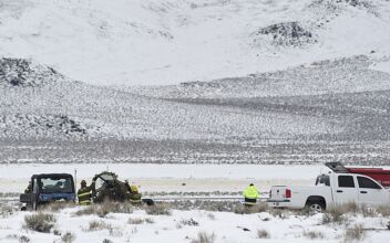 NTSB Says Medical Plane Apparently Broke Apart Before Crash
