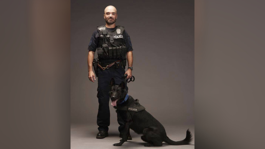Officer, Pedestrian, and Police Dog Die in Kansas City Crash