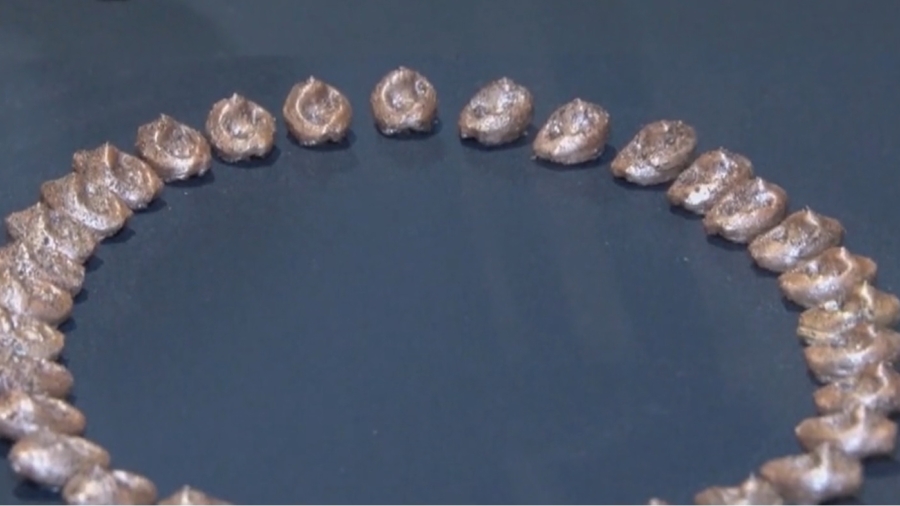World’s Oldest Necklace on Display in Morocco