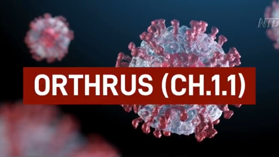 China, US Tracking New Omicron Strain ‘Orthrus’