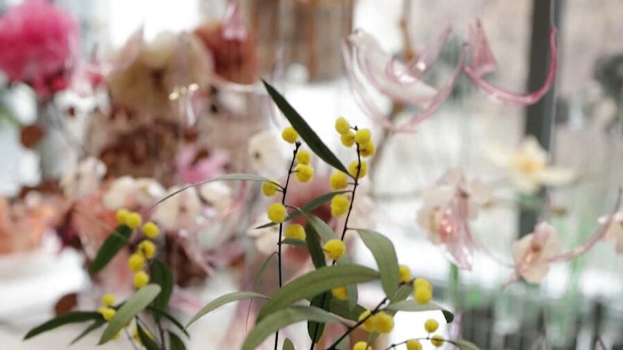 Parisian Artist Turns Plastic Into Floral Art