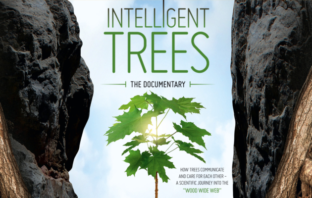 Intelligent Trees