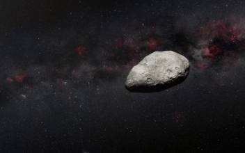 New Asteroid Photobombs Webb Telescope